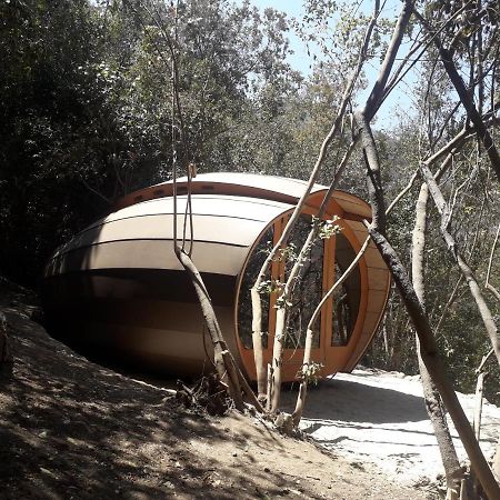 Biosfera Lodge Olmué Exterior photo